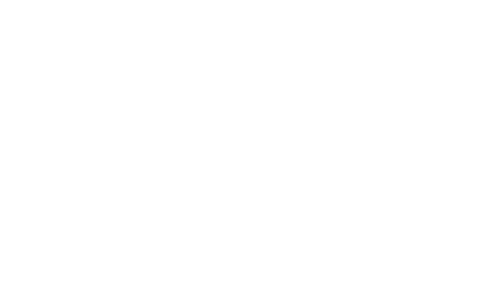 The Qualitative Research Institute